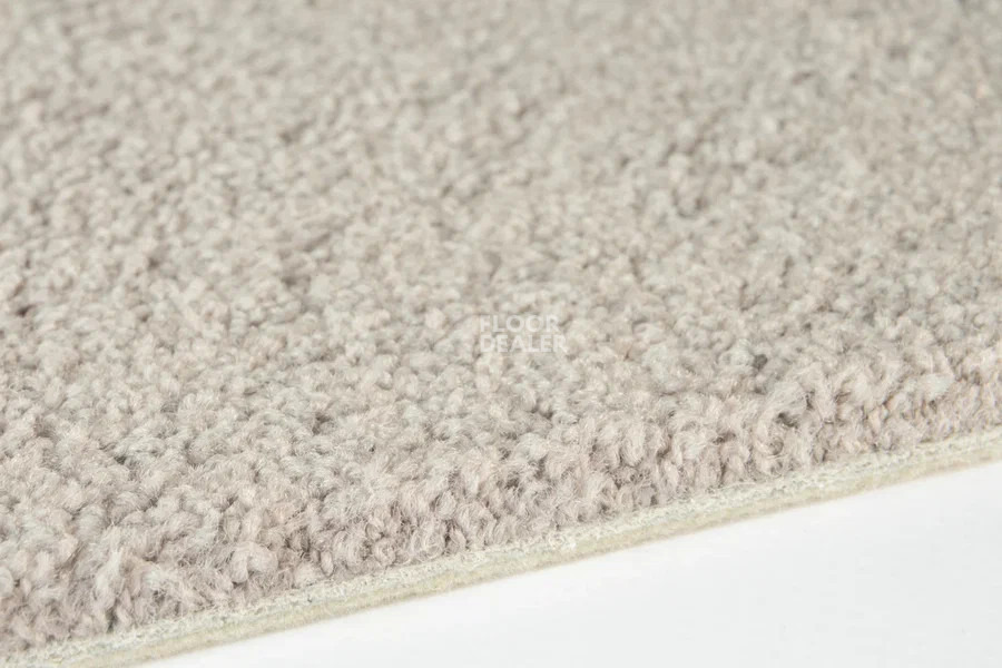 Vorwerk Superior 1065/Viola Vorwerk 5x89 фото 3 | FLOORDEALER